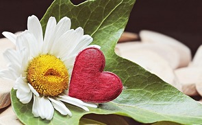 Blume